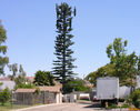 Filename=cells_towerco_sprint_2035Cal_Corona_20090825_DSCN1365.jpg
Filesize=2101KiB
Dimensions=1990x1572
Date added=Aug 26, 2009 cells_towerco_sprint_2035Cal_Corona_20090825_DSCN1365.jpg