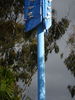 Filename=DSC01836.JPG
Filesize=6938KiB
Dimensions=3672x4896
Date added=Feb 19, 2017 DSC01836.JPG