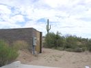 cells.fountainhills.larson_cactus.20050823.P1010038.jpg