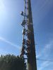 Filename=IMG_1130.JPG
Filesize=1582KiB
Dimensions=3024x4032
Date added=Oct 20, 2017 IMG_1130.JPG