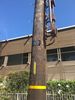 Filename=IMG_1136.JPG
Filesize=3088KiB
Dimensions=3024x4032
Date added=Oct 20, 2017 IMG_1136.JPG