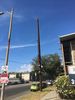 Filename=IMG_1142.JPG
Filesize=2697KiB
Dimensions=3024x4032
Date added=Oct 20, 2017 IMG_1142.JPG