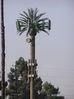 Filename=cells.inglewood.spectasite.1225.E.Florence.Inglewood.PA190035.jpg
Filesize=1194KiB
Dimensions=1712x2288
Date added=Oct 23, 2005 cells.inglewood.spectasite.1225.E.Florence.Inglewood.PA190035.jpg