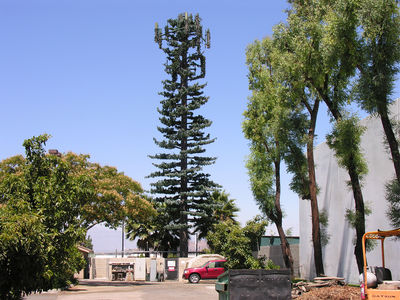 So-So Sprint Monopine
Sprint's monopine, located in Corona, California, is a good example of what happens when the antenna array extends past the branches.  Also note the degraded and falling-off panel covers (socks).  This site is now managed by TowerCo.
Keywords: sprint corona monopine socks towerco