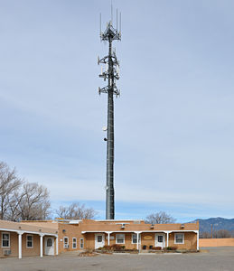 Tall Tower to Save Birds
American Tower's Taos Central site in Taos, NM has a federally-protected bird's nest on one of the platforms.  The the photos here.  Search on Taos.
Keywords: federally,protected,bird,bird's,nest,taos,new mexico,nm,american tower