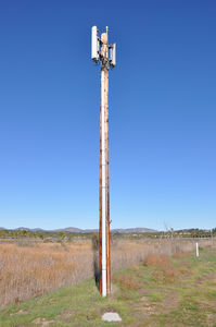 Sprint on a Stick in San Diego County
