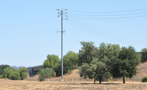 New Concept: A wireless site without antennas or base station equipment
This SCE tower features a three sector panel mount without panels.  It also lacks any base station.  
Keywords: camo sce tower thousand oaks california