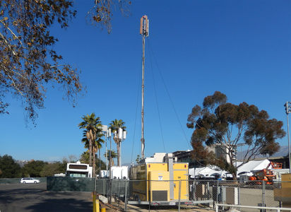 2015 Rose Bowl Herd
The 2015 COW/COLT herd at the Rose Bowl, Pasadena, CA.
Keywords: rose bowl cow colt pasadena 2015