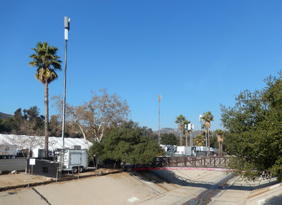 2015 Rose Bowl Herd
The 2015 COW/COLT herd at the Rose Bowl, Pasadena, CA.
Keywords: rose bowl cow colt pasadena 2015