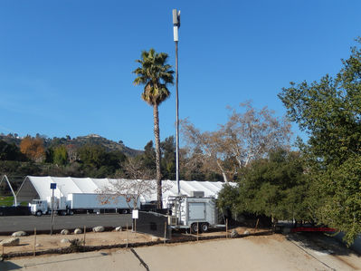 2015 Rose Bowl Herd
The 2015 COW/COLT herd at the Rose Bowl, Pasadena, CA.
Keywords: rose bowl cow colt pasadena 2015