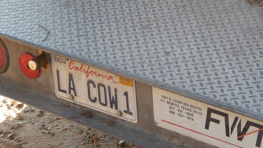 This Cow is WAY past its Expiration Date
The owner of this COW really, really needs to resolve this.  A cute license plate is not enough.
Keywords: rose bowl cow license plate expired tags rose bowl colt pasadena 2015