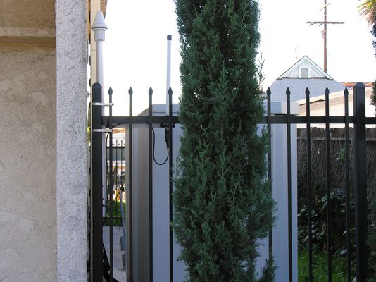 Highland View Pentecostal Assembly - Los Angeles
View of GPS and LMU antennas next to BTS equipment.
Keywords: church bell tower gps lmu