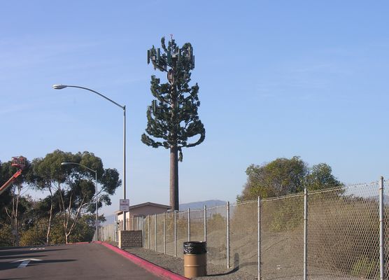 Is that an AIRCRAFT warning light on the tree?
I continue to update the gallery with new photos of this ever-changing site.  The latest is the addition of new panel antennas.
Keywords: camp pendleton rest stop  I-5