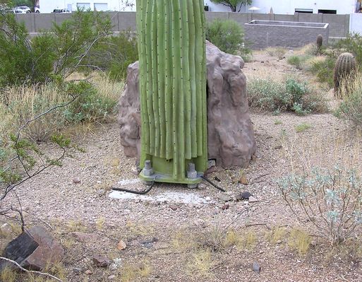 Bolts Holding Down Cactus?!
This detail show shows how the faux cactus is bolted to the concrete pad.  The faux rock hiding the coaxial cables can be seen at the rear of the cactus.  Larson-USA design.  www.utilitycamo.com
Keywords: cactus fountain hills arizona larson-usa larson cingular base bolt concrete pad