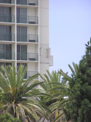 Multi-carrier Cell Site Cleverly Disguised As An Upscale Hotel
Looking west at north wall.  Corner reflector antennas on the left; camo box to the right of the reflector antennas.
Keywords: multicarrier torrance hotel hilton