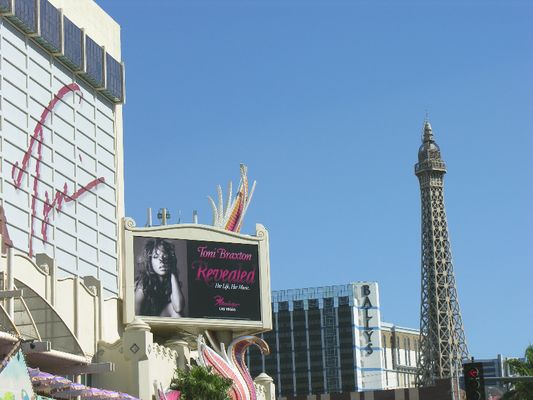 Flamingos Have Antennas!
I always focused on the tail feathers of Flamingos.  Who knew that they had antennas, too!
Keywords: flamingo hotel las vegas nevada