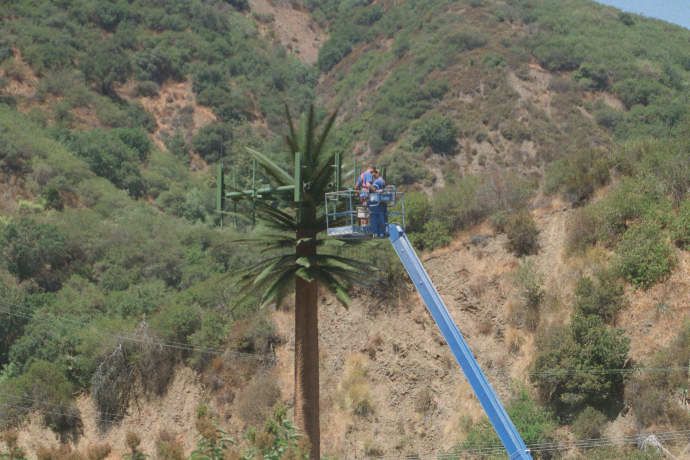Pulling Cables Inside a Monopalm
Techs are installing cables inside this legacy monopalm.  Sepulveda Boulevard west of the I-405 in Los Angeles.
