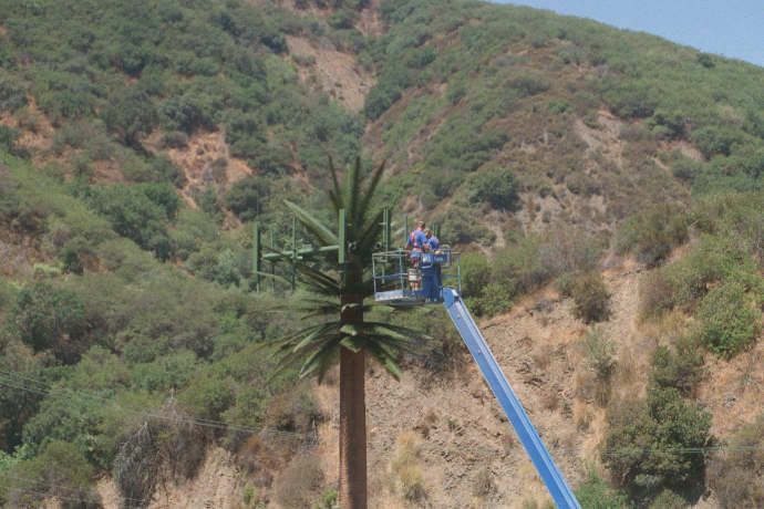 Pulling Cables Inside a Monopalm
Techs are installing cables inside this legacy monopalm.  Sepulveda Boulevard west of the I-405 in Los Angeles.
