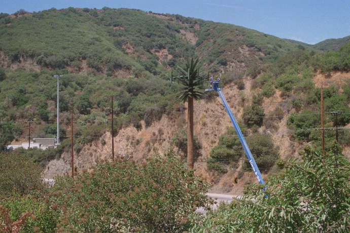 Pulling Cables Inside a Monopalm
Techs are installing cables inside this legacy monopalm.  Sepulveda Boulevard west of the I-405 in Los Angeles.

