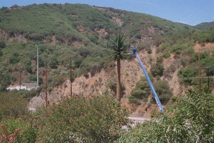 Pulling Cables Inside a Monopalm
Techs are installing cables inside this legacy monopalm.  Sepulveda Boulevard west of the I-405 in Los Angeles.
