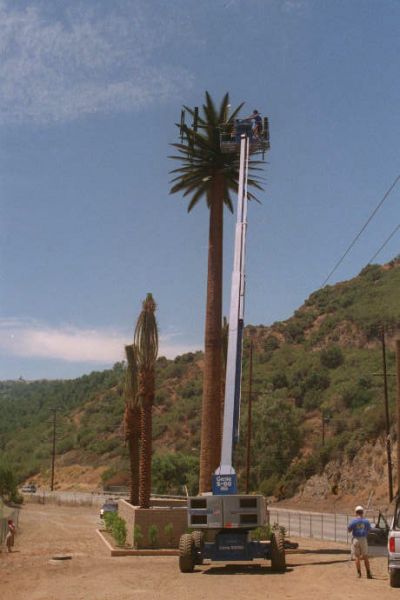 Pulling Cables Inside a Monopalm
Techs are installing cables inside this legacy monopalm.  Sepulveda Boulevard west of the I-405 in Los Angeles.
Keywords: monopalm construction cable cables sepulveda los angeles