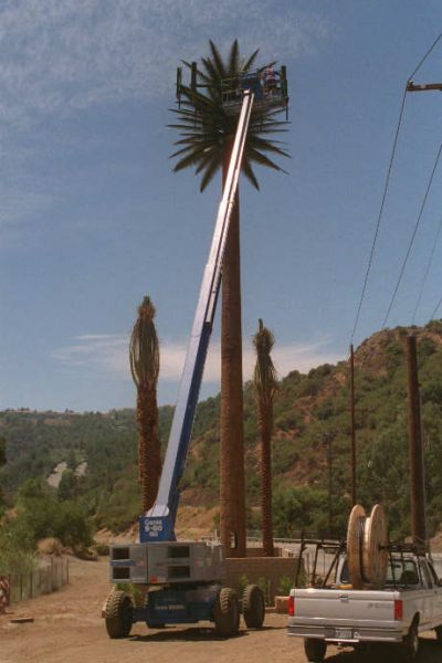 Pulling Cables Inside a Monopalm
Techs are installing cables inside this legacy monopalm.  Sepulveda Boulevard west of the I-405 in Los Angeles.
Keywords: monopalm construction cable cables sepulveda los angeles