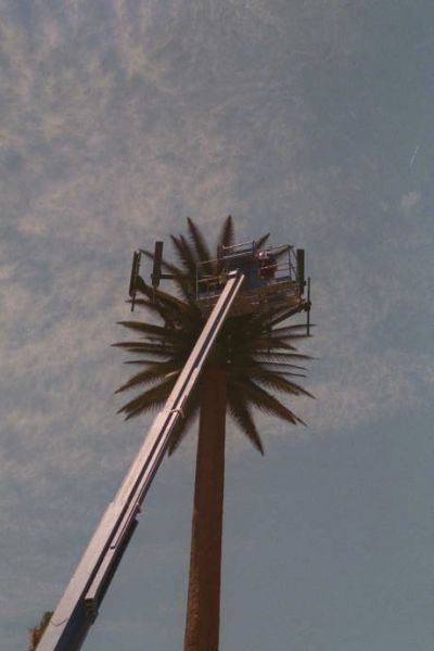 Pulling Cables Inside a Monopalm
Techs are installing cables inside this legacy monopalm.  Sepulveda Boulevard west of the I-405 in Los Angeles.
Keywords: monopalm construction cable cables sepulveda los angeles