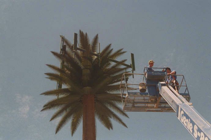 Pulling Cables Inside a Monopalm
Techs are installing cables inside this legacy monopalm.  Sepulveda Boulevard west of the I-405 in Los Angeles.
Keywords: monopalm construction cable cables sepulveda los angeles