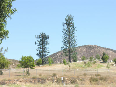 Monorock, Interrupted
A pair of monopines in Murrieta, California.  The right side monopine has a fairly decent but hardly great design and result given the lack of sufficient branch coverage; the left side monopine is very poorly designed/executed given the antennas extending out beyond the canopy of the branches.
Keywords: sprint monopine mono pine murrieta
