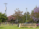 cells_anaheim_riverdale_park_vzw_w_micro_t_mob_bckgrnd_20090623.jpg