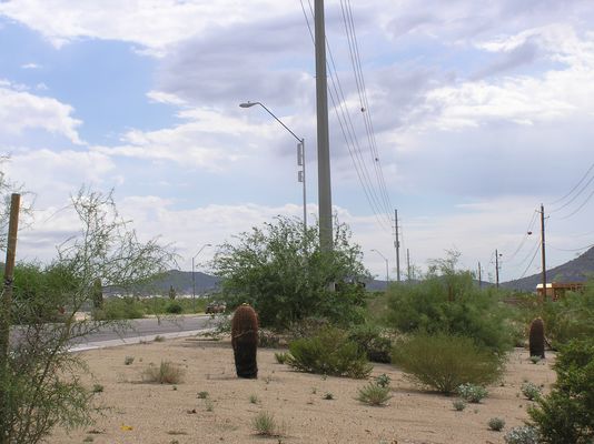 Great Scott! (Even more)
Yet another example of a pole-mounted cell site in Scottsdale, Arizona.
Keywords: scottsdale arizona shea pole
