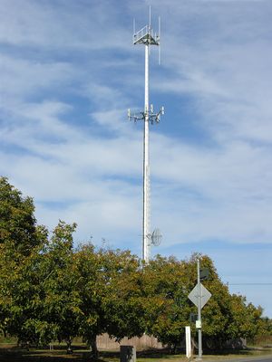 A Singular Pole for a Cingular Site
American Tower leases this monopole to Cingular.  It's located in Biggs, California (American Tower Site No. 82517). 
Keywords: american tower cingular biggs california monopole