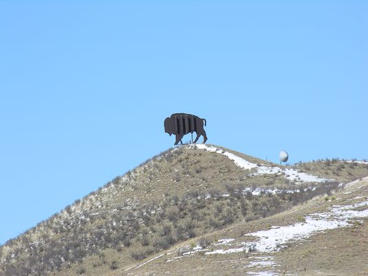 A Powerful Bison
Verizon's cellular bison, located in Carr, Colorado, serves I25.  Notice the microwave dish to the right of the bison.  It's used for backhaul to Verizon's mobile telephone switching office (MTSO).  Photo by Steve Allen of Kramer.Firm, Inc.
Keywords: carr colorado verizon bison microwave mtso