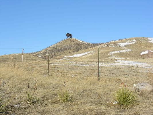 A Powerful Bison
Verizon's cellular bison, located in Carr, Colorado, serves I25.  This site is about 1 mile south of the Wyoming state line.  The apparent height of the bison is about 12 feet.  This photo is looking to the north.  Photo by Steve Allen of Kramer.Firm, Inc.
Keywords: carr colorado verizon bison