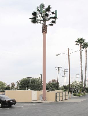 Mauve in Orange
I never knew that some Palm tree trunks were mauve.  Apparently they can be for mono-palms like this Cingular site in the City of Orange, California.
Keywords: cingular orange mauve monopalm palm