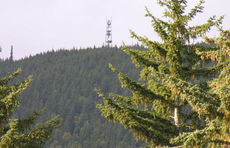 Wait 'Till We Get Our Haines Signal On You!
Multicarrier site above Haines, Alaska
Keywords: haines alaska tower