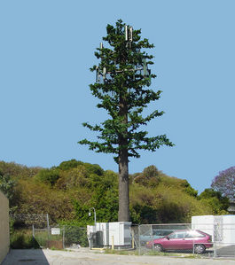 Monoblah (Oops...Monopine)
This monopine, photographed in 2002 is in Culver City, California.  It abuts the I-405 freeway near Washington Blvd.
Keywords: monopine culver city california