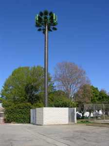 Monoblah (Oops...Monopalm)
The design of this monopalm site leave much to be desired, including the use of real bark cladding in lieu of the bark tape applied to the pole.  Also, the antennas lack the camouflage of overhanging palms, and also lack covers.  This is a run-of-the-mill design, at best.  Montebello, California
Keywords: montebello monopalm chat holifield park