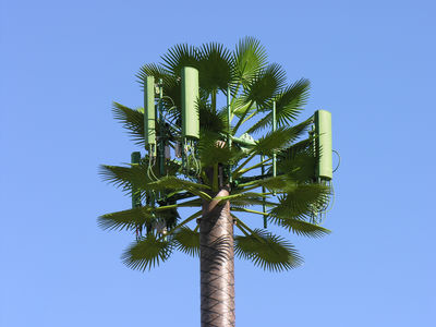 Monoblah (Oops...Monopalm)
A close-up of the poorly designed antenna configuration at the top of the monopalm located at Chet Holifield Park in Montebello, California.
Keywords: montebello monopalm chat holifield park