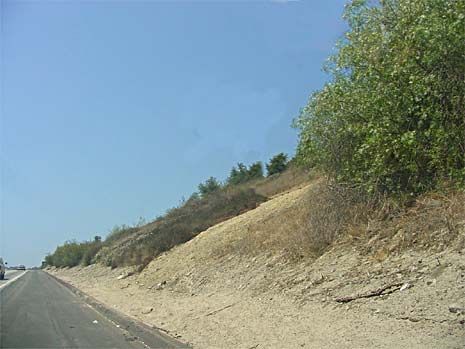 01 - Before
This is a photo simulation of the site prior to the installation of the concrete base.  (SORT by "TITLE +" or "TITLE -" in the upper right of the thumbnail frame to see these photos in the proper order!)
