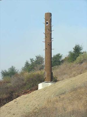 03 - Trunk Installed
The "trunk" of the cell pine is installed on the concrete base.  Note the pegs used to receive the branches, and the cable portal at the top of the trunk.
