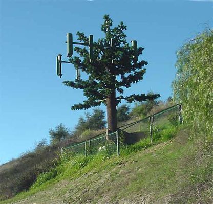 14 - Mother Earth Starting to Reclaim...
Nature (with the help of plantings by the carrier) is starting to retake the base of the site.
