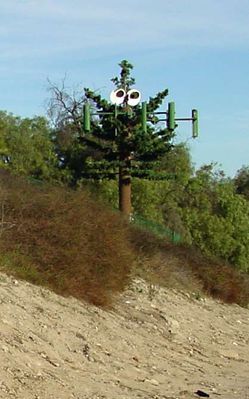 15 - Vandals Strike!
Okay, I'll start by saying it wasn't me!  Really!!  Someone(s) climbed our little friend and installed some cute "eyes" at the top of the pole.  The eyes remained in place for about two weeks near Christmas time 2002.
