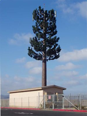 Is that an AIRCRAFT warning light on the tree?
This site is on USMC property in San Diego County.  The red light on the trop of the cell pine tree warns off low flying helicopters.  Notice how the bark cladding stops at the level of the lowest branches.  Also notice how much reflective the trunk is without the cladding.  The bark cladding should have been extended all the way up the tree trunk.
Keywords: cell pine aircraft warning beacon bark cladding partial