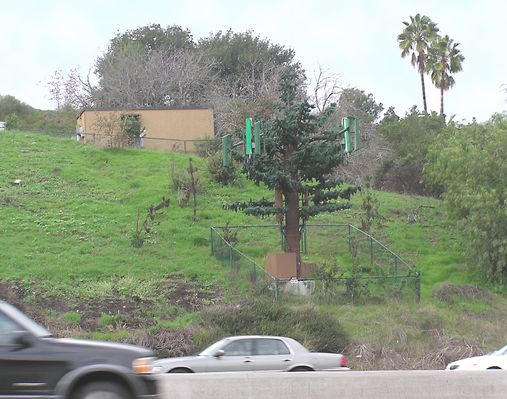 17 - Side view of Our Little Friend
January 2, 2005 was a cold, damp day in Southern California, but I managed to snap a photo of our little tree to better show the new antennas mounted off of the trunk, and the new sickly green quad antennas.  Also notice a small "Keep Out" sign at the lower left corner of the front fence.  I'm sure that it is very effective.
Keywords: i405 tree