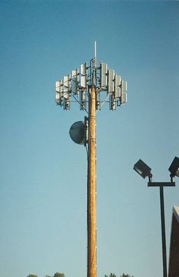 Cell site, microwave mounted on wood pole
We don't need no stinking steel tower!
Keywords: wood pole cell microwave