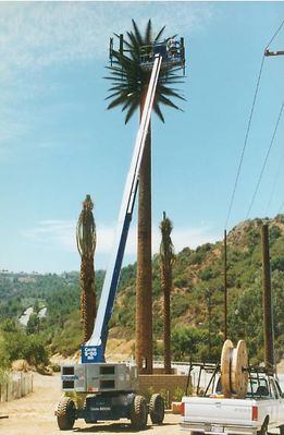 Installing a cell palm
I snapped this photograph during the installation of this cell palm tree along the I-405 in the pass connecting the San Fernando Valley and West Los Angeles.
Keywords: Installation of a cell palm