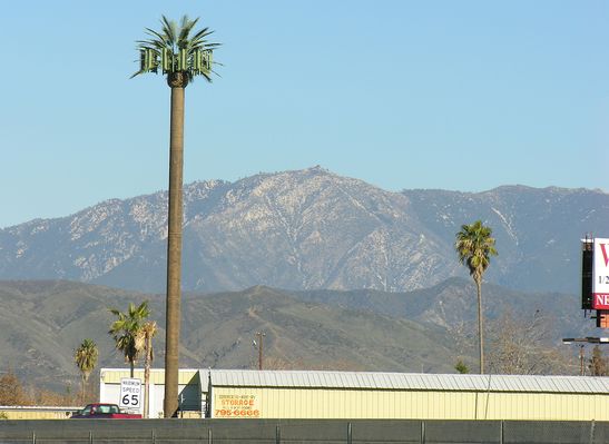 Cell Palm
Yet another cell palm.
