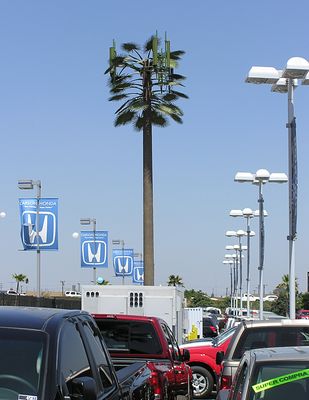 Low Mileage Monopalm
Here's a better-than-average Cingular monopalm installation.  What makes it better than average?  The more-than-usual number of palm fronds that provide better cover for the panels.
Keywords: monopalm cellular palm fronds cingular carson california
