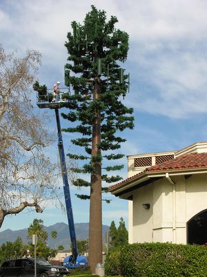Building A CellPine...
...one branch at a time.  Notice that this is another example of failing to have the bark cladding all the way up the pole.  The break point stands out, as does the painted metal above.
Keywords: cell pine bark cladding